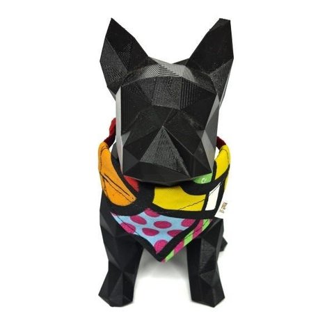 Faixa para Cachorro - Tamanho Médio - Modelo Romero