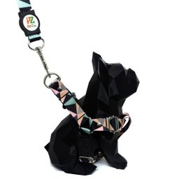 Conjunto peitoral e guia para cachorro - Tamanho Pequeno - Modelo Abstrata - 2