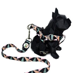 Conjunto peitoral e guia para cachorro - Tamanho Pequeno - Modelo Abstrata - 3