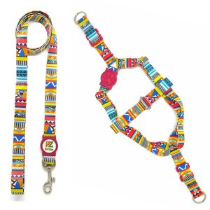 Conjunto peitoral e guia para cachorro - Tamanho Médio - Modelo Afrika