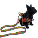 Ver imagem 2 de Conjunto Peitoral e Guia para Cachorro - Tamanho Pequeno - Modelo Aquarela