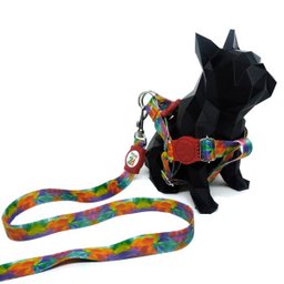 Conjunto peitoral e guia para cachorro - Tamanho Pequeno - Modelo Aquarela - 2