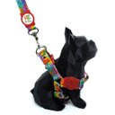 Ver imagem 1 de Conjunto Peitoral e Guia para Cachorro - Tamanho Pequeno - Modelo Aquarela