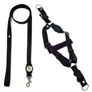 Conjunto peitoral e guia para cachorro - Tamanho Pequeno - Modelo Black