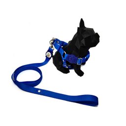 Conjunto peitoral e guia para cachorro - Tamanho Pequeno - Modelo Blue - 2