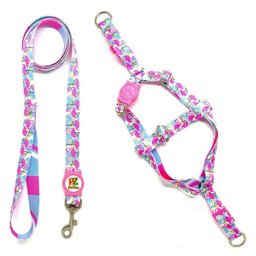 Conjunto Peitoral e Guia para Cachorro - Tamanho Pequeno - Modelo Flamingo - 1