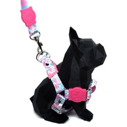 Conjunto Peitoral e Guia para Cachorro - Tamanho Médio - Modelo Flamingo - 2