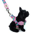 Ver imagem 2 de Conjunto Peitoral e Guia para Cachorro - Tamanho Grande - Modelo Flores