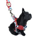 Ver imagem 2 de Conjunto Peitoral e Guia para Cachorro - Tamanho Pequeno - Modelo Marinheiro