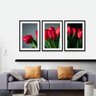 Quadro Flores Tulipas Vermelhas decorativo Arte Moldura Preta - 4