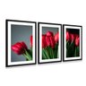 Quadro Flores Tulipas Vermelhas decorativo Arte Moldura Preta - 1