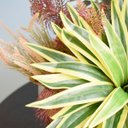 Ver imagem 2 de Arranjo Moderno Artificial de Flores, Suculentas e Folhagens para Mesa de Jantar