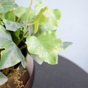 Ver mais imagens de Arranjo Moderno Artificial de Flores, Suculentas e Folhagens para Mesa de Jantar