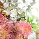 Ver imagem 7 de Arranjo Moderno Artificial de Flores, Suculentas e Folhagens para Mesa de Jantar