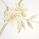 Ver imagem 3 de Papel de Parede Floral e Pássaros Rosa Claro Vinilico Lavável+ Cola para Aplicação