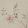 Papel de Parede Floral Rosa Antigo Vinilico Lavável+ Cola para Aplicação - 4