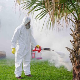 Nebulizador Térmico Agrícola Kawashima TN-0202 À Gás Para Sanitização de Hospitais - 10