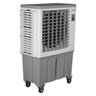 CLIMATIZADOR SX120A 220V - 2