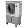 CLIMATIZADOR SX120A 220V - 6