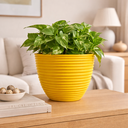 Ver imagem 1 de Cachepô Stripes Amarelo em Cerâmica 22cm Decorativo
