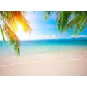 Ver imagem 2 de Papel de Parede Praia Mar Coqueiro Céu Sol 3d Npr216