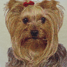 Capa de almofada Yorkshire Lilly - 2