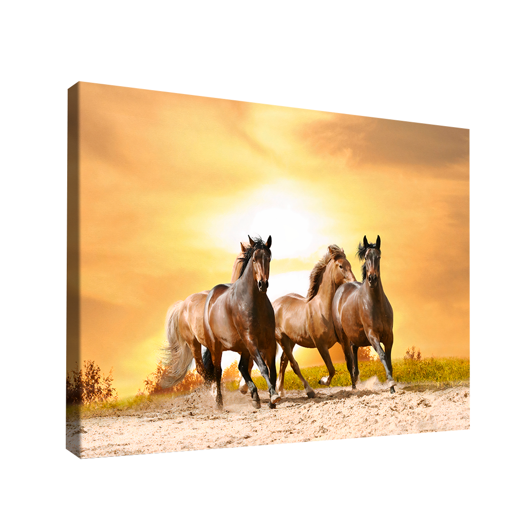 QUADRO DECORATIVO CAVALOS SUMMER