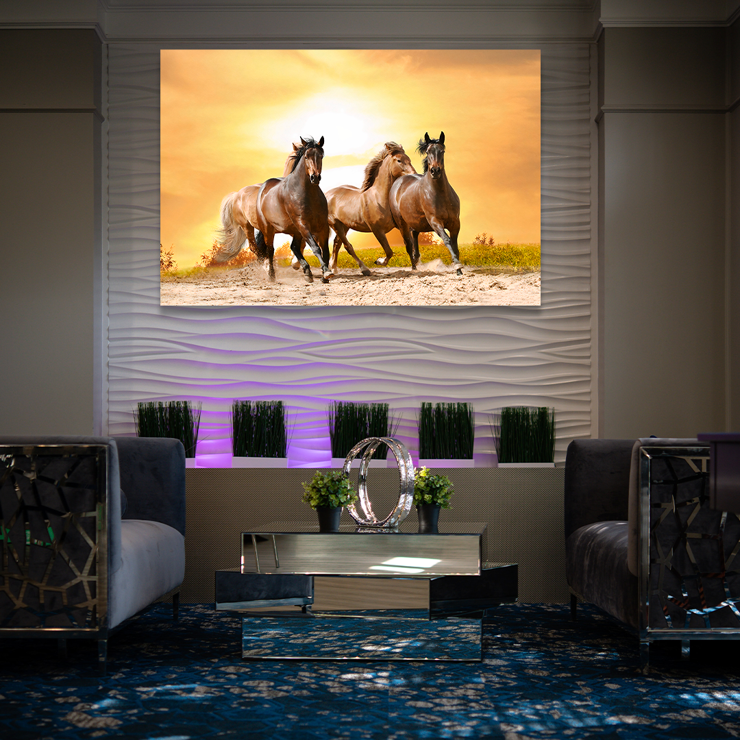 QUADRO DECORATIVO CAVALOS SUMMER - 2