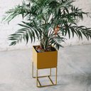 Ver imagem 3 de Cachepot para Plantas - 22x22x40 - Ocre