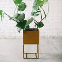 Ver imagem 4 de Cachepot para Plantas - 22x22x40 - Ocre