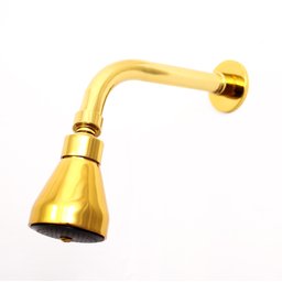 Ducha Chuveiro Articulado Samer Metais para Aquecedor a Gás e Solar Dourado - 1