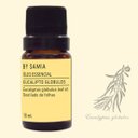 Ver imagem 3 de Óleo Essencial de Eucalipto Globulos 10ml