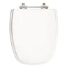Tampa de Vaso Poliéster Turim Branco para bacia Eternit 6lpf - 1