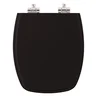 Assento Sanitário Poliester Soft Close Amarilis Preto para vaso Fiori 6lpf - 1