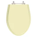 Ver imagem 1 de Tampa de Vaso Sanitário Poliéster Alpinia Marfim para bacia Fiori
