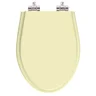Assento Sanitário Poliester Soft Close Alpinia Marfim para vaso Fiori 6lpf - 1