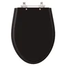 Assento Sanitário Alpinia Preto para bacia Fiori 6lpf - 1