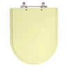 Tampa de Vaso Sanitário Poliéster Jasmim Marfim para bacia Fiori - 1
