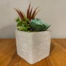 Kit 2 Suculentas Artificiais + Vasos Arranjos Vasinhos Cimento - 3
