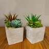 Kit 2 Suculentas Artificiais + Vasos Arranjos Vasinhos Cimento - 1