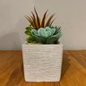 Kit 2 Suculentas Artificiais + Vasos Arranjos Vasinhos Cimento - 4