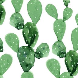 Papel De Parede Natura Cactos - 2