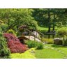 Papel De Parede Jardim Japonês Ponte Japão 3D 7,50M² Jjp01 - 2