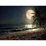 Papel De Parede Praia Mar Lua Cheia Noite 3D 7,50M² Npr212 - 2