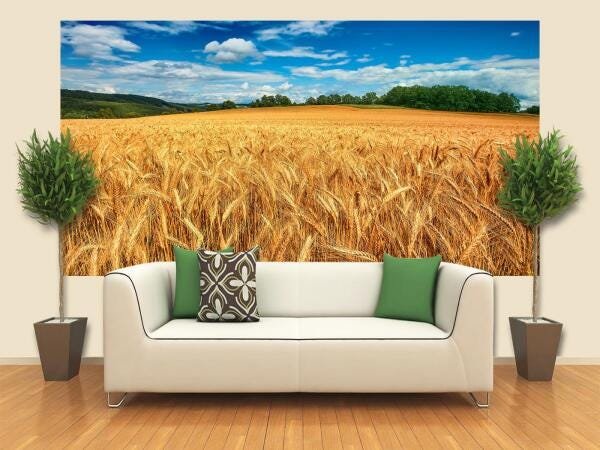 Papel De Parede 3D Campos 0007 (2.50M X 1.50M) - 1