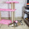 Arranhador Gato Plataforma 3 BASES Tubinho - CARAMELO - 7