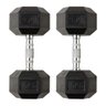 Par De Halteres Dumbell Sextavado Ahead Sports As2102 15Kg - 1