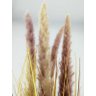 PLANTA ARTIFICIAL CAPIM DOS PAMPAS GRANDE 90CM PLUMAS LUXO - 3