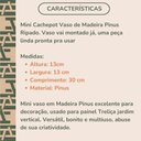 Ver imagem 5 de Cachepot Ripado para Orquídeas pra Painel Jardim Vertical Floreira