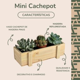 Mini Cachepot Retangular 40x9,5cm de Madeira Vaso pra Plantas Cactos Flores e Decoração - 2